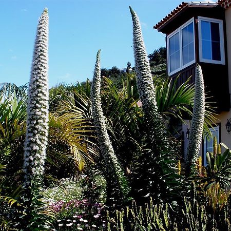 Apartamento Mar Y Teide El El Sauzal Zimmer foto